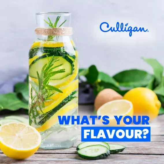 Whats your flavour